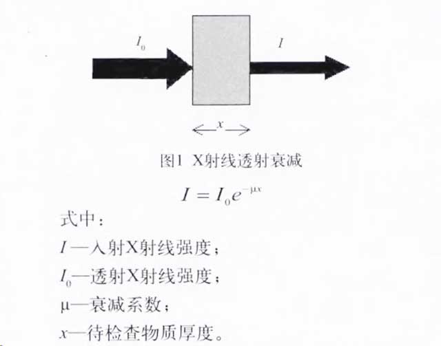 X射线投射衰减图