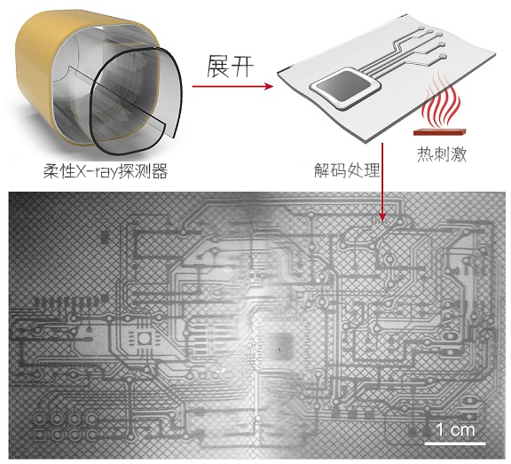 使用柔性X射线探测器对3D电子电路板的内部进行成像